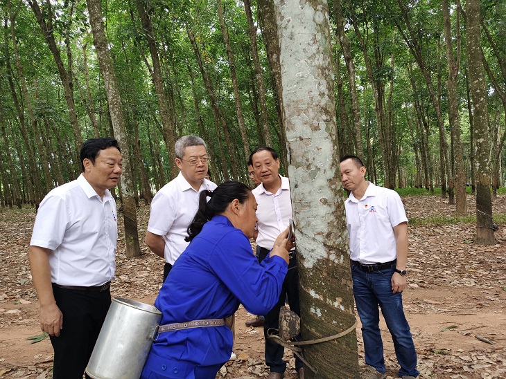 龙8头号玩家(国际)官方网站