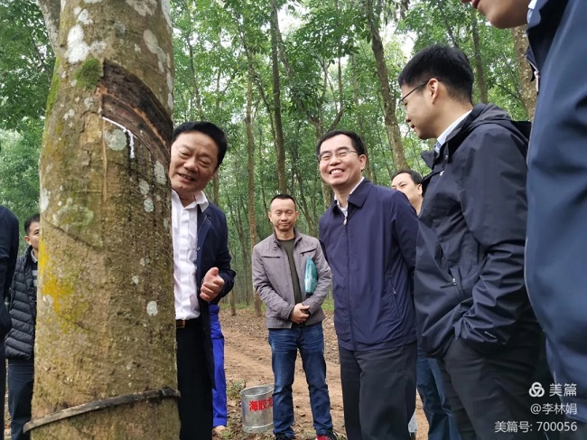 龙8头号玩家(国际)官方网站