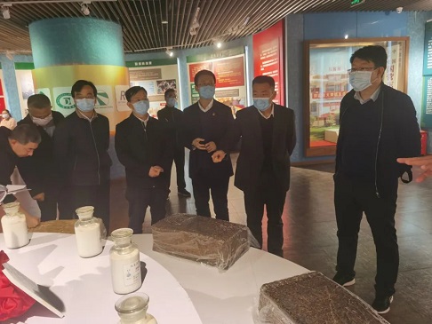 龙8头号玩家(国际)官方网站