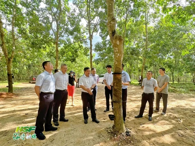龙8头号玩家(国际)官方网站