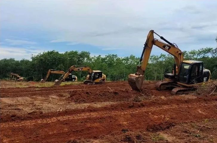 53 龙8头号玩家(国际)官方网站