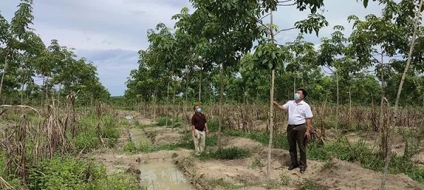 龙8头号玩家(国际)官方网站
