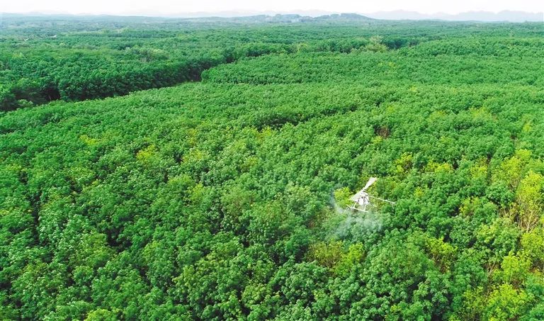 龙8头号玩家(国际)官方网站
