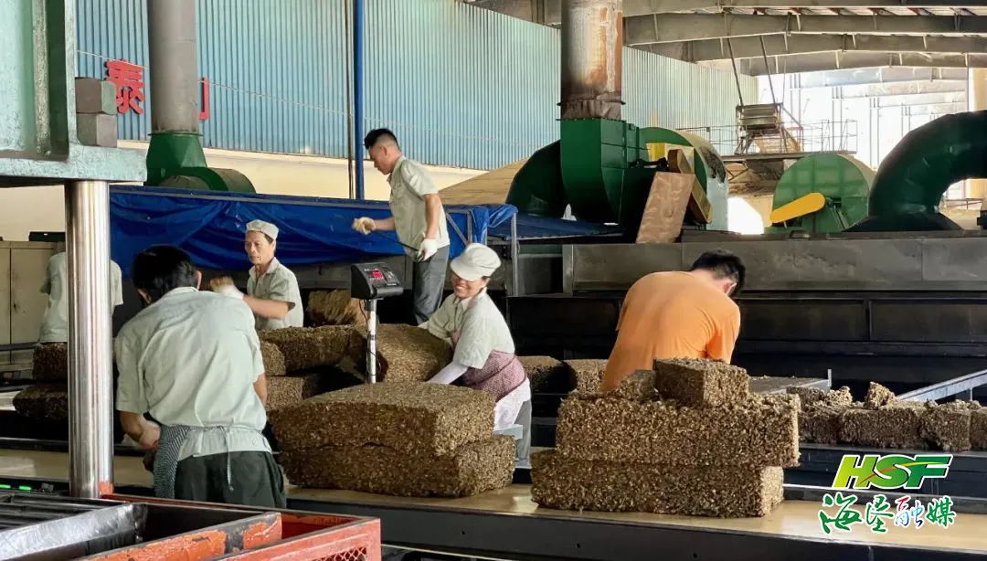 龙8头号玩家(国际)官方网站