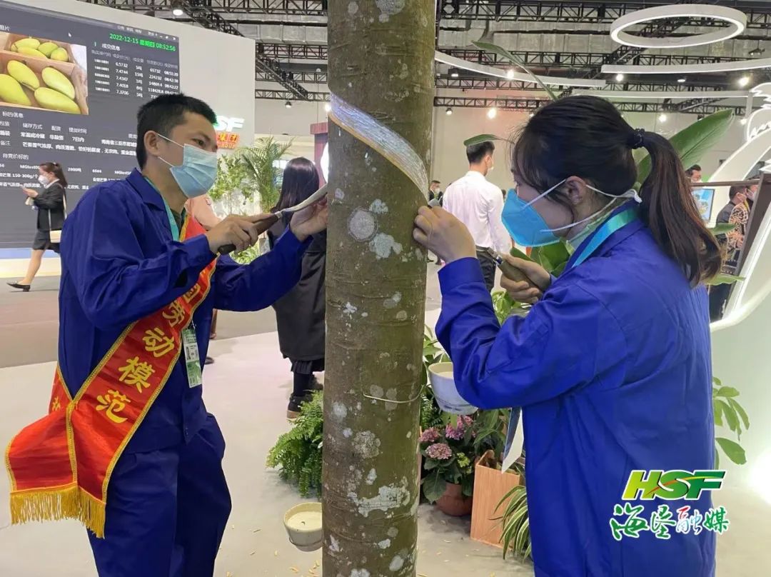 4 龙8头号玩家(国际)官方网站