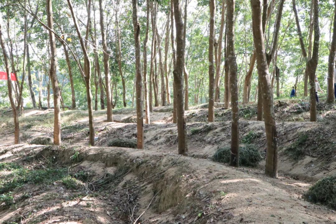 龙8头号玩家(国际)官方网站