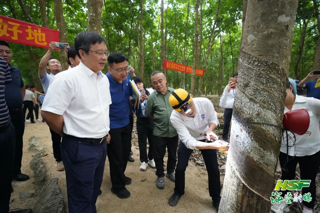 9 龙8头号玩家(国际)官方网站