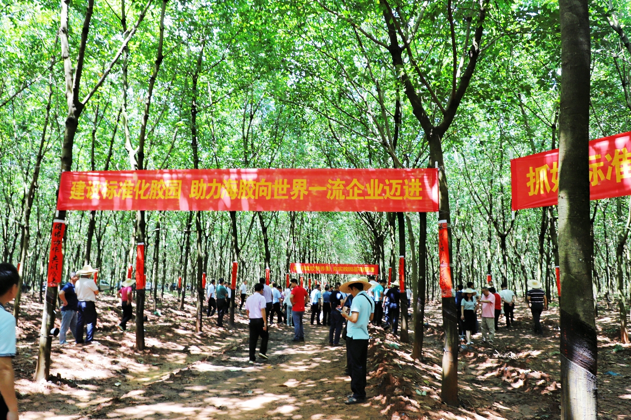 龙8头号玩家(国际)官方网站