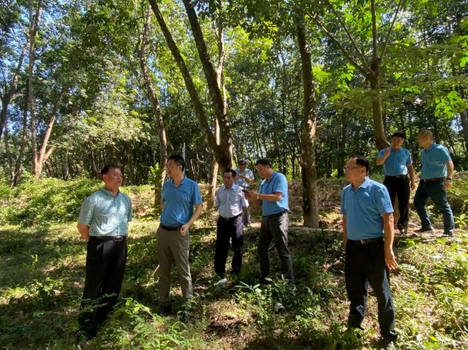 5 龙8头号玩家(国际)官方网站